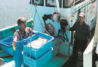 日本渔民和水产业者哭诉：政府太愚蠢了，未来...