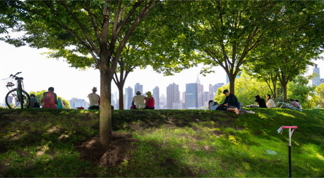 6 Ways Trees Benefit People | The Nature Conservancy