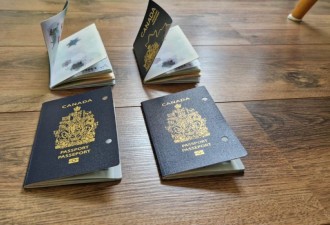 加拿大新版护照拿到手几天就变形！政府承认：要小心存放