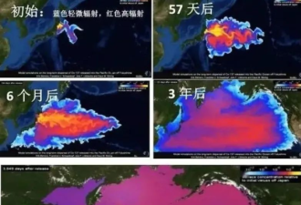 日本核废水对温哥华多大影响！排队抢盐