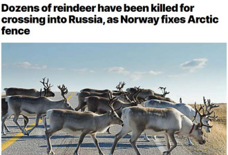 关系紧张 挪威“偷渡者”误吃俄罗斯草后被处死!