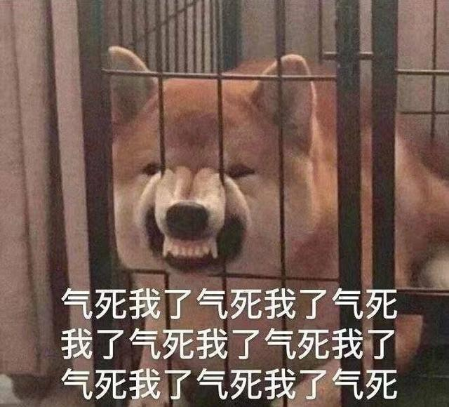 从前景太行到下岗:第一批AI工程师被裁了