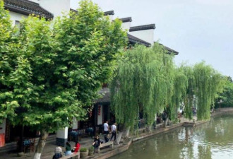 隐藏在浙江省的水乡小镇 被誉为江南水乡的缩影