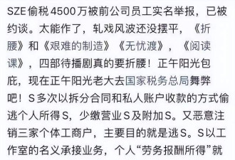 宋祖儿被实名举报偷税漏税 涉及金额4500万