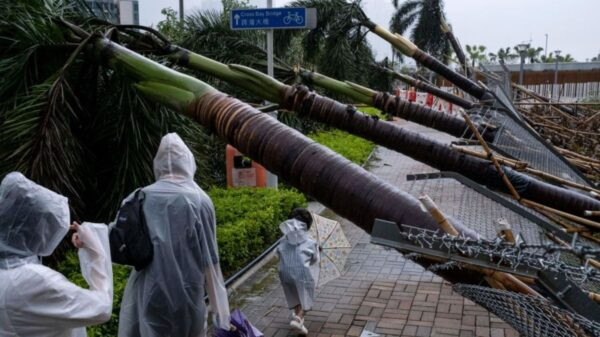 台风苏拉已造成1死数十伤 或第三次登陆广东| 伤亡| 湛江| 新唐人中文电视台在线