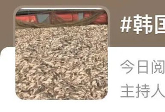热搜第一！韩国超100万条石斑鱼死亡