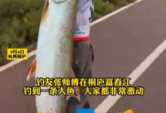 杭州男子钓到70斤鳡鱼 放弃开车一路背回家