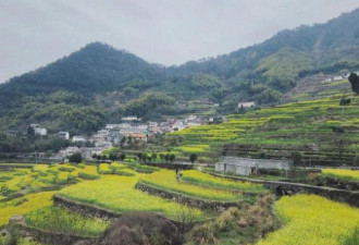 适合躺平！浙江冷门的城市 还比云南浪漫