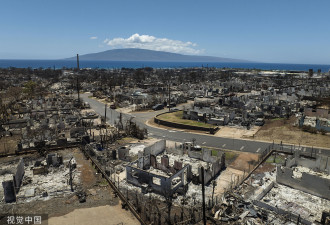 夏威夷大火是“入侵物种”惹的祸？专家警告