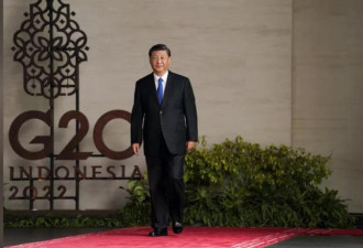 不去G20：习近平留北京 会这两国总统