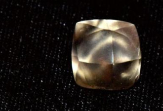 7岁女孩庆生得大礼 公园找到“金棕大钻石”