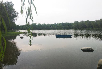 西安这个最小的湿地公园 清新脱俗的美