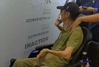 陈小艺被曝离婚：名导老公坐轮椅 枯瘦如柴