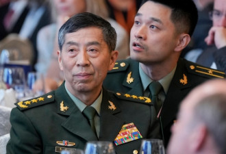 推特上的中国：国防部长也失踪 “堪比悬疑小说”？