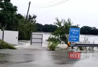 广东一养殖场鳄鱼趁洪水出逃，附近村庄通知防范