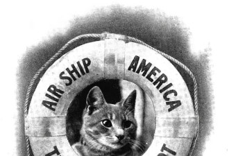 美国军舰上，人人都是吸猫狂魔！