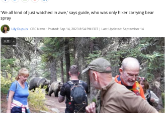 班芙公园13名游客遭遇2只大灰熊 一路跟了20分钟