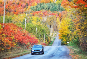 加拿大最美季节临近！安省10条绝美赏枫自驾游路线抢先看