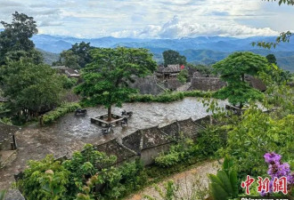 走进中国第57项世界遗产：普洱景迈山古茶林景观