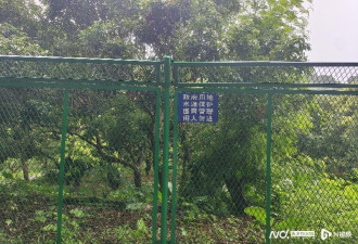 深圳绿化道网红景点建完封三年,耗资亿元