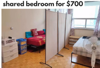 多伦多奇葩出租：每月700元共用卧室角落里的一张婴儿床