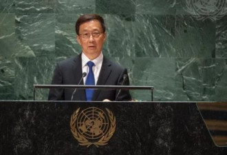 中国副主席警告：勿低估大陆对台湾的强烈决心