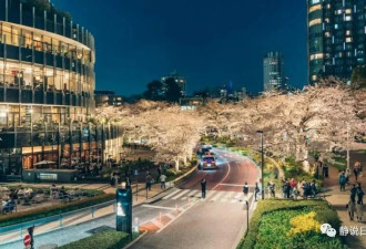 面向未来100年 东京如何进行城市大改造