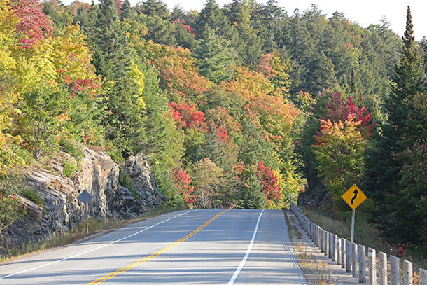 At km 13 of Highway 60 in Algonquin Park on September 22, 2023