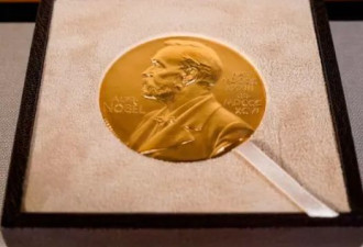 世界太乱了 今年诺贝尔和平奖可能从缺？