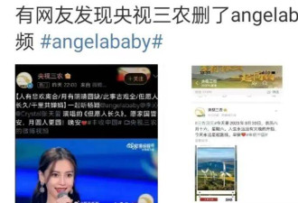 杨颖被央视视频除名,网友喊话全网封杀