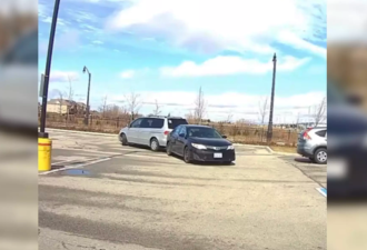 【视频】多伦多这俩司机绝了 遭吐槽充话费还送驾照