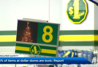 加拿大1元店被发现七种产品致癌 含铅量超过3000倍