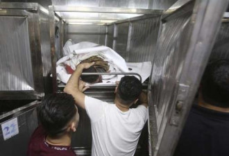 加沙医院像屠宰场 这样摆放尸体！