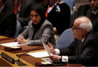 巴勒斯坦驻联合国代表谴责以色列轰炸封锁加沙...