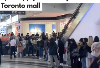 【视频】多伦多人商场排队3小时不放弃 网友哀叹：安大略完蛋了