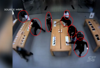 安省商场苹果店遭疯狂"0元购"：iPhone 15被洗劫一空