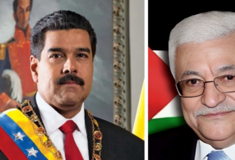 巴勒斯坦总统阿巴斯:巴解是巴人民唯一合法代表