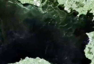 紧急污染事件！英国最大淡水湖脏成“化粪池”