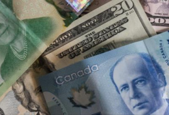 躺着拿钱：加拿大正在考虑全民基本收入
