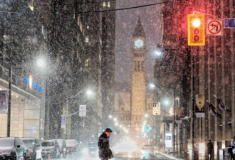 今年第一股冬季气候来袭！多伦多周末大幅降温至零下
