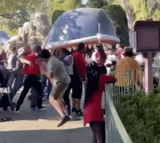 至少5人！迪士尼乐园爆发群殴，婴儿车被推倒在地...