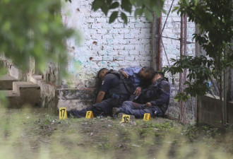 墨西哥13名警察遭枪杀身亡 震惊全国