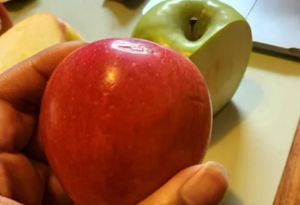 测评多伦多超市常见的6种苹果：第一名令人意外