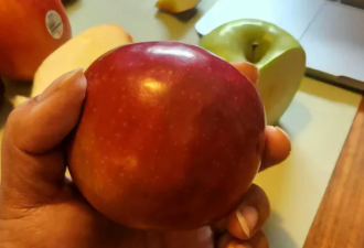 测评多伦多超市常见的6种苹果：第一名令人意外