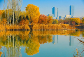北京一晃又是秋 去哪里看京城最浓的秋色呢？