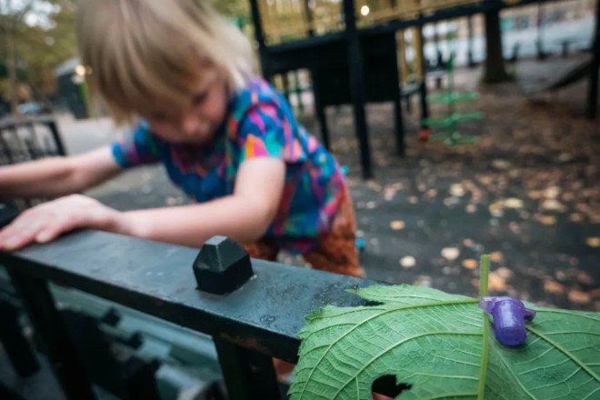 Toddler at Hattie Carthan Playground