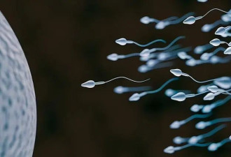 科学家首次发现：精子运动违背牛顿定律