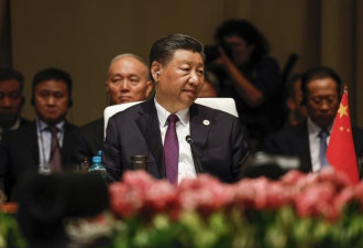 北京误判情势出手，习被猪队友拉下水？