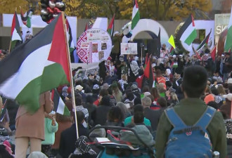 多伦多市中心数千人示威 支持巴勒斯坦