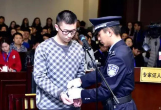 26岁中国女程序员醉驾杀人逃回国细节曝光 最新案件进展…
